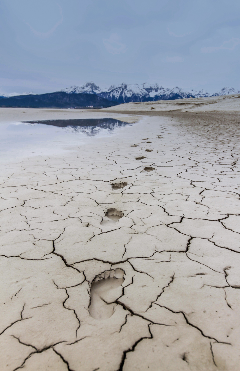 von Sieglinde Senser